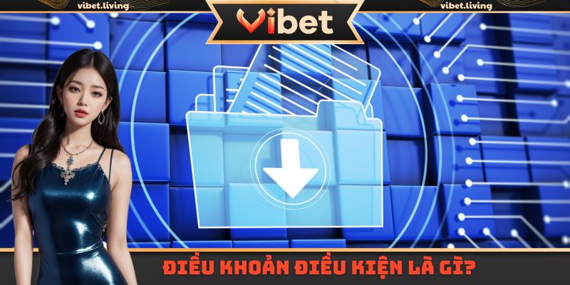 Điều khoản điều kiện Vibet là gì?