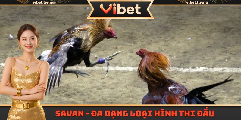 Savan tổ chức đa dạng loại hình thi đấu hấp dẫn