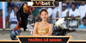Trường gà Savan