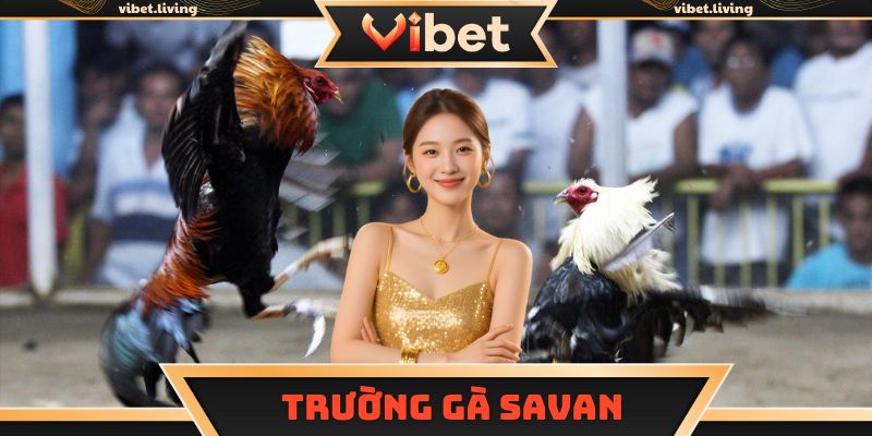 Trường gà Savan