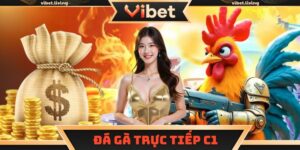 đá gà trực tiếp C1