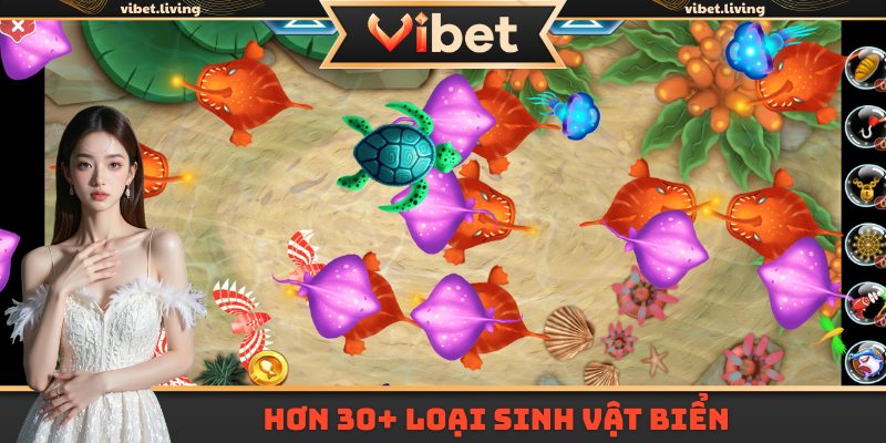 Hơn 30+ loại sinh vật biển