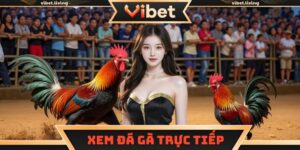 Xem đá gà trực tiếp
